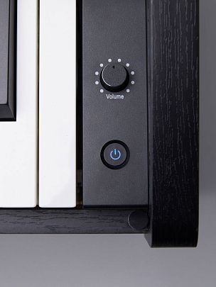 Sai Piano P-150BK